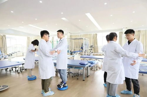 專業(yè)解碼全視角 重塑生命動(dòng)能，探索康復(fù)治療技術(shù)的核心價(jià)值