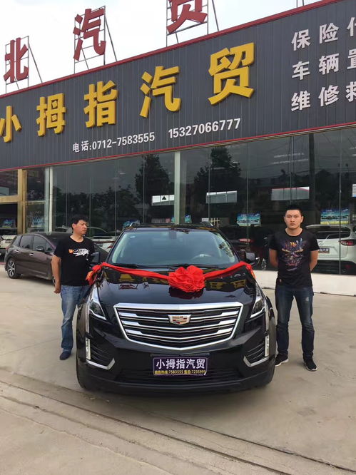 大悟小拇指汽貿(mào) 專業(yè)汽車信息咨詢服務(wù)指南